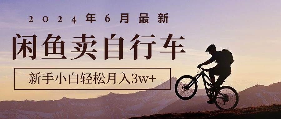 2024年6月最新闲鱼卖自行车，新手小白轻松月入3w+项目-亮仔资源网