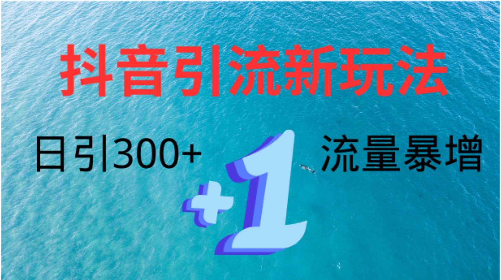 创业粉高效引流，抖音工具号玩法4.0，日引300+-亮仔资源网